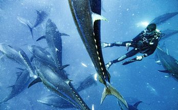 gara-2018-04-17-Reportaje