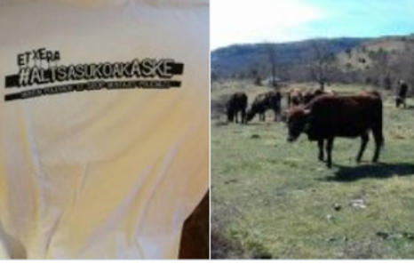 Captura_de_pantalla_2018-04-19_a_las_12