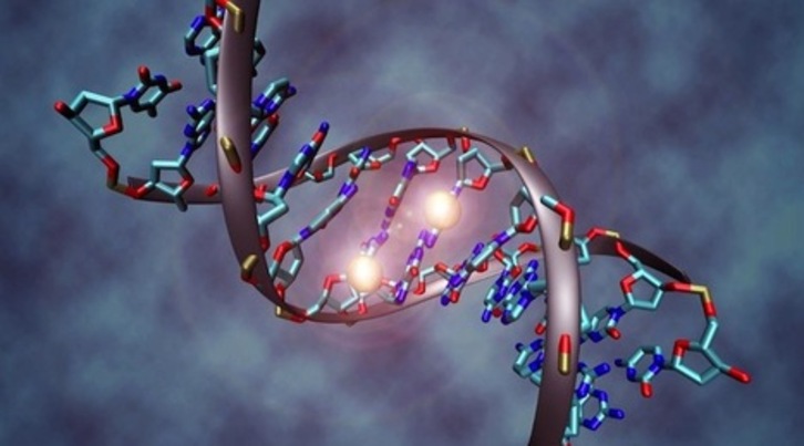 Un grupo de científicos ha publicado la primera secuencia completa de un genoma humano. (Getty)
