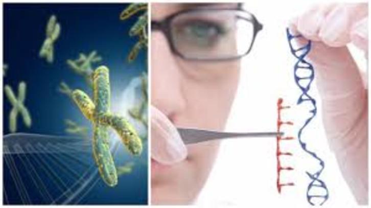 Genetikak gidatutako terapia