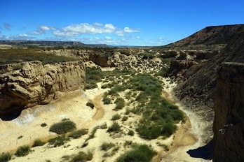 Bardeetako erreka idorra. Arg. Daniel von Schiller