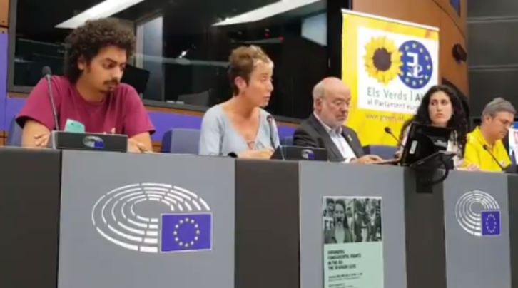 Bel Pozueta, en una conferencia junto a europarlamentarios en Estrasburgo. (@Altsasugurasoak)