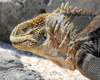 gara-2018-05-31-Reportaje