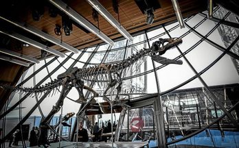 gara-2018-06-12-Noticia