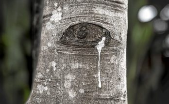 gara-2018-06-12-Reportaje