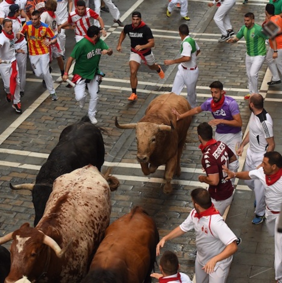 Tejedor, el toro castaño de Fuente Ymbro, cierra el grupo en Estafeta. (Jon URBE/FOKU) Tejedor, el toro castaño de Fuente Ymbro, cierra el grupo en Estafeta. (Jon URBE/FOKU)