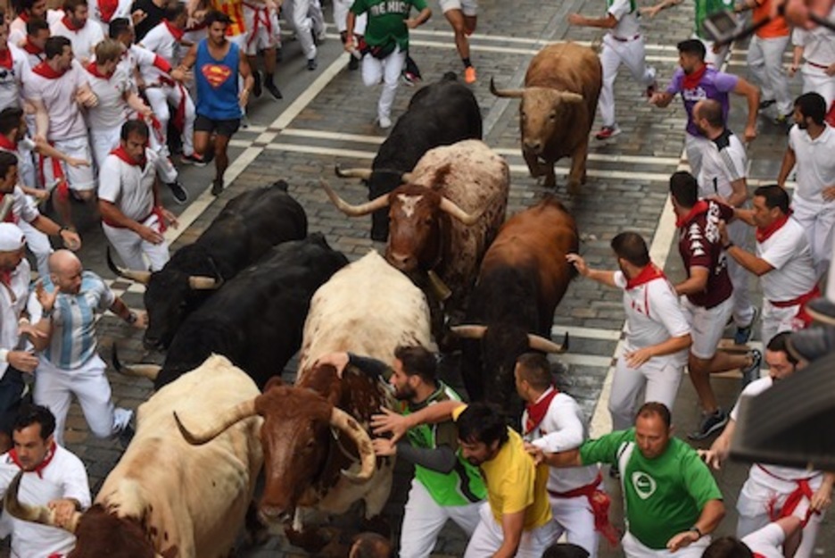La manada, todavía compacta, cubre el tramo de Estafeta. (Jon URBE/FOKU) La manada, todavía compacta, cubre el tramo de Estafeta. (Jon URBE/FOKU)