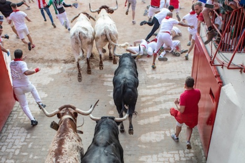 Los primeros astados de Fuente Ymbro entran en el coso, con algunos corredores cayendo cerca de los astados. (Joseph SABALSSON/FOKU) Los primeros astados de Fuente Ymbro entran en el coso, con algunos corredores cayendo cerca de los astados. (Joseph SABALSSON/FOKU)