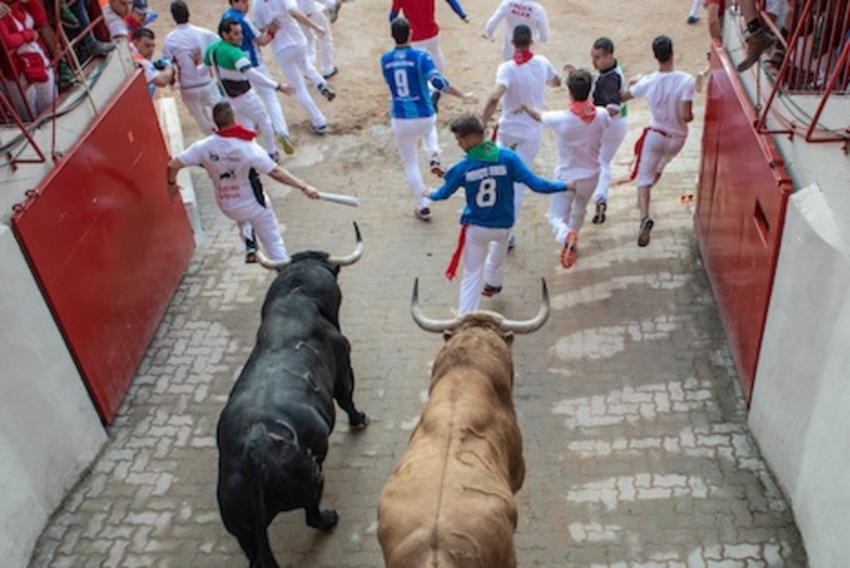 Hechizo y Tejedor acceden a la plaza. (Joseph SABALSSON/FOKU) Hechizo y Tejedor acceden a la plaza. (Joseph SABALSSON/FOKU)