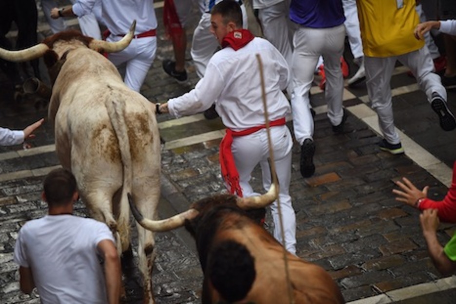 Jabaleño, cerrando la manada a su paso por Estafeta. (Jon URBE/FOKU) Jabaleño, cerrando la manada a su paso por Estafeta. (Jon URBE/FOKU)