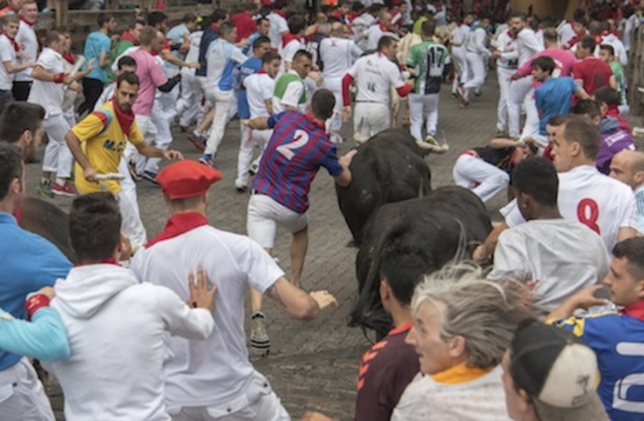 Dos morlacos enfilan hacia el callejon tras chocar con los corredores en la curva de Telefónica. (Andoni CANELLADA/FOKU) Dos morlacos enfilan hacia el callejon tras chocar con los corredores en la curva de Telefónica. (Andoni CANELLADA/FOKU)