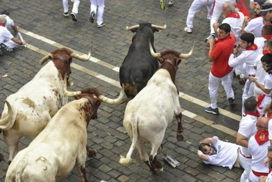 Uno de los astados negros se va despegando de los mansos al llegar a la plaza Consistorial. (Idoia ZABALETA/FOKU) Uno de los astados negros se va despegando de los mansos al llegar a la plaza Consistorial. (Idoia ZABALETA/FOKU)
