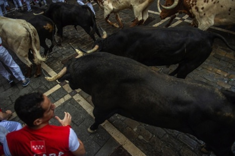 Cuatro morlacos y varios mansos arrancan con fuerza por Estafeta. (Lander F. ARROYABE/FOKU) Cuatro morlacos y varios mansos arrancan con fuerza por Estafeta. (Lander F. ARROYABE/FOKU)