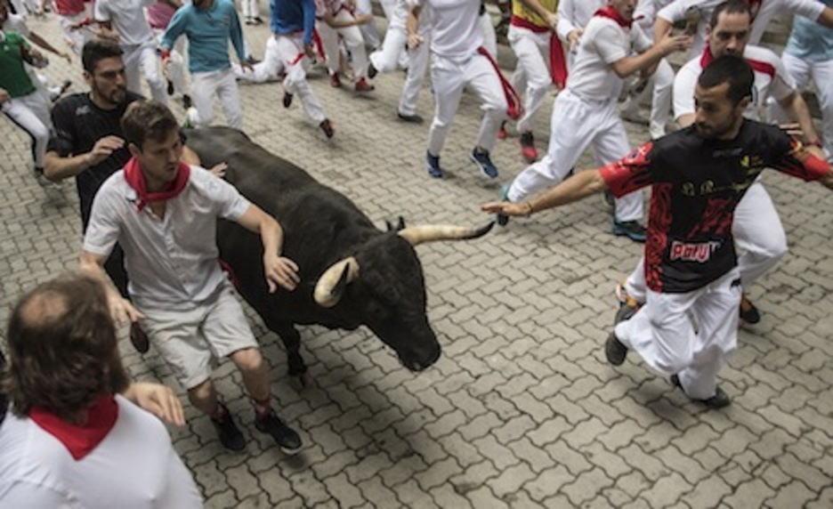 Un morlaco negro, bien guiado por los corredores. (Jagoba MANTEROLA/FOKU) Un morlaco negro, bien guiado por los corredores. (Jagoba MANTEROLA/FOKU)