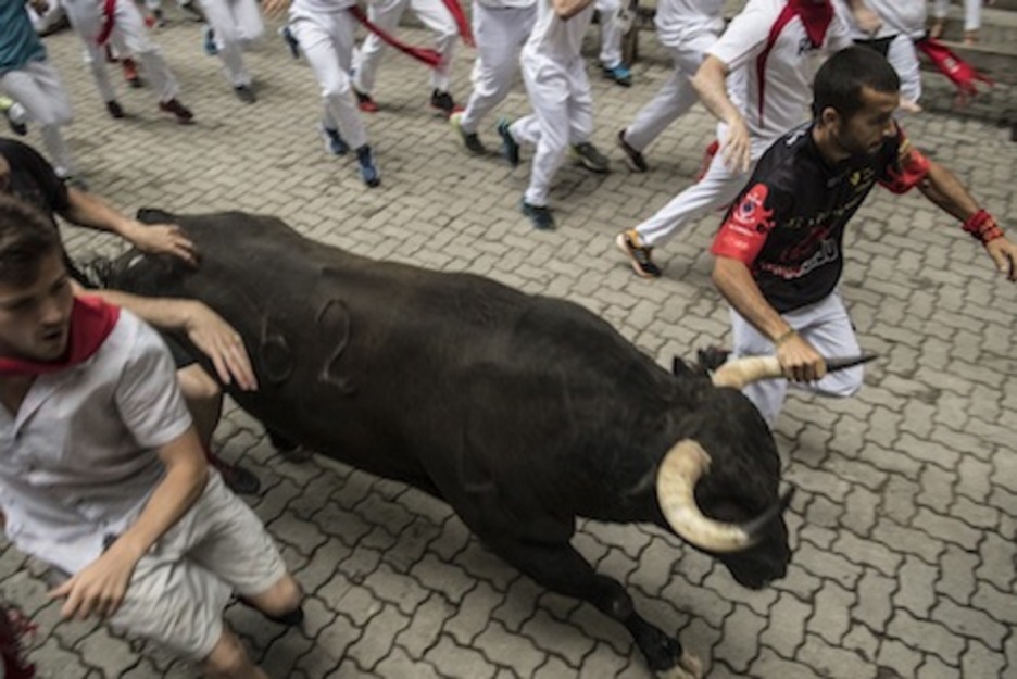 Un mozo coge el cuerno de Incauto, el toro que había empitonado a otro corredor en la plaza Consistorial. (Jagoba MANTEROLA/FOKU) Un mozo coge el cuerno de Incauto, el toro que había empitonado a otro corredor en la plaza Consistorial. (Jagoba MANTEROLA/FOKU)