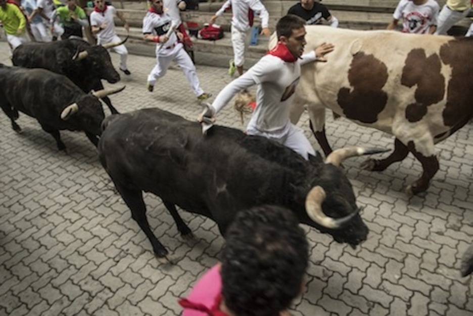 Tres astados y un manso, con un corredor entre ellos, corren por el callejón. (Jagoba MANTEROLA/FOKU) Tres astados y un manso, con un corredor entre ellos, corren por el callejón. (Jagoba MANTEROLA/FOKU)
