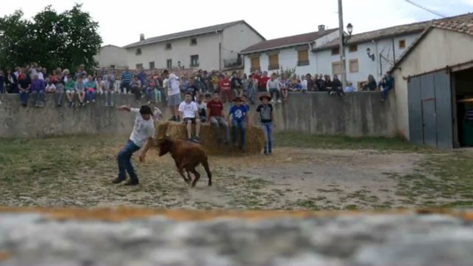 20180722_bigantxak_lezaun