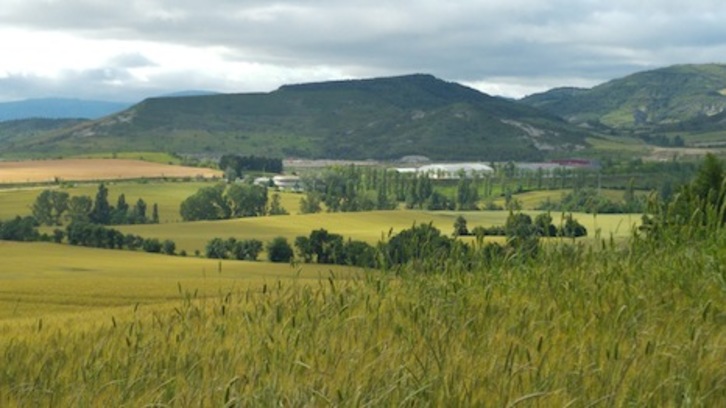 Cerro sobre el que se construyó el campamento romano, con ligera inclinación hacia el sur. (FOTOGRAFÍAS: Iñaki VIGOR)