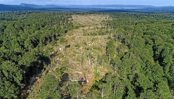 gara-2018-07-30-Reportaje