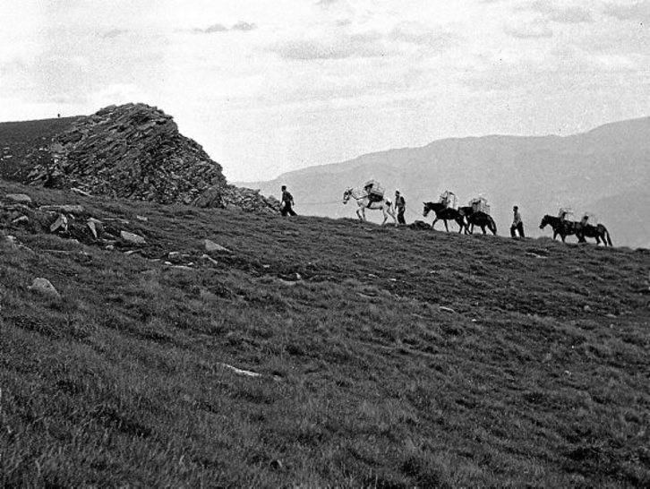 Jean Velez. Velez familiaren funtsa