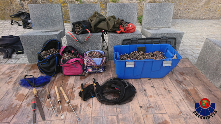 Percebes incautados por la Ertzaintza, junto a las herramientas para su extracción. (ERTZAINTZA)