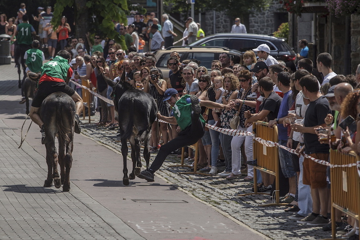 La carrera de burros de Areta se retomó en 2009 y este año ha contado con once jumentos participantes, alguno no muy convencido de ser montado como se aprecia en la imagen de Aritz Loiola (FOKU)