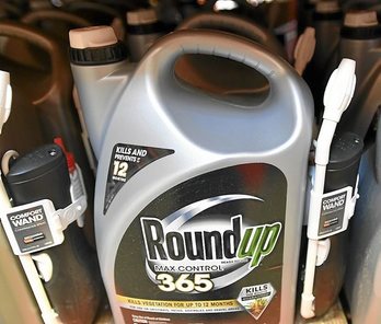 gara-2018-08-14-Opinión