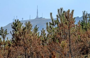 gara-2018-09-18-Noticia