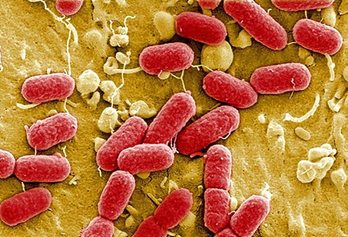 gara-2018-09-22-Noticia