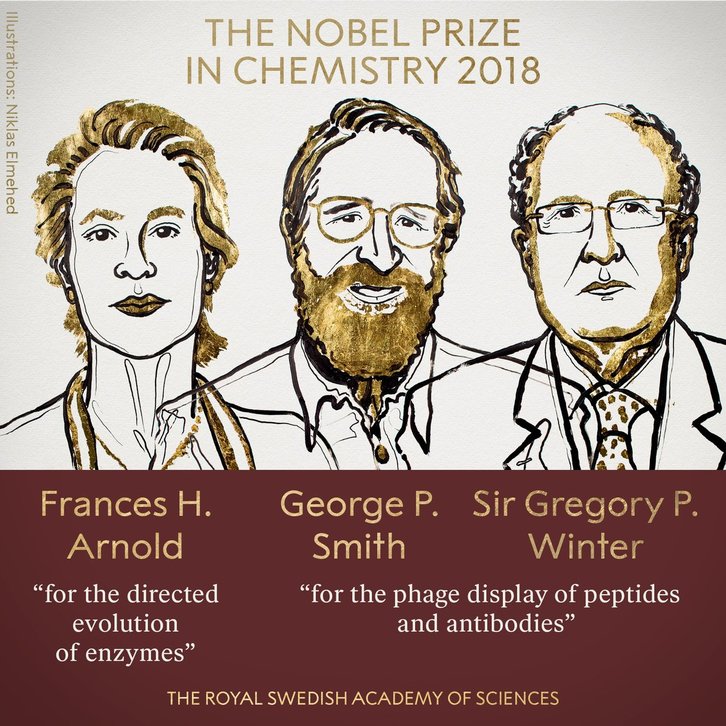 Frances H. Arnold, George Smith y Gregory P. Winter, los galardonados con el Nobel de Química. 