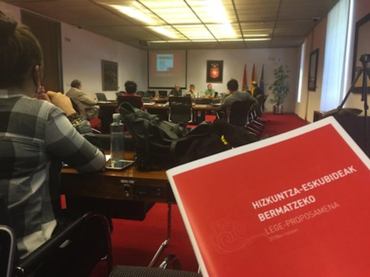 Kontseilua defiende la oficialidad del euskera en Nafarroa para «reconocer derechos». (KONTSEILUA)