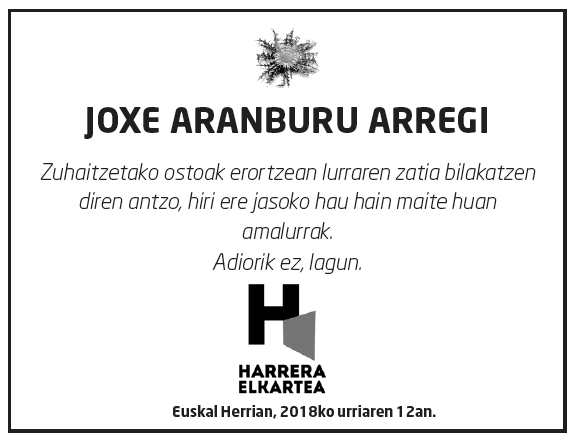 Joxe-aranburu-arregi-2