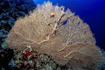 gara-2018-10-16-Noticia