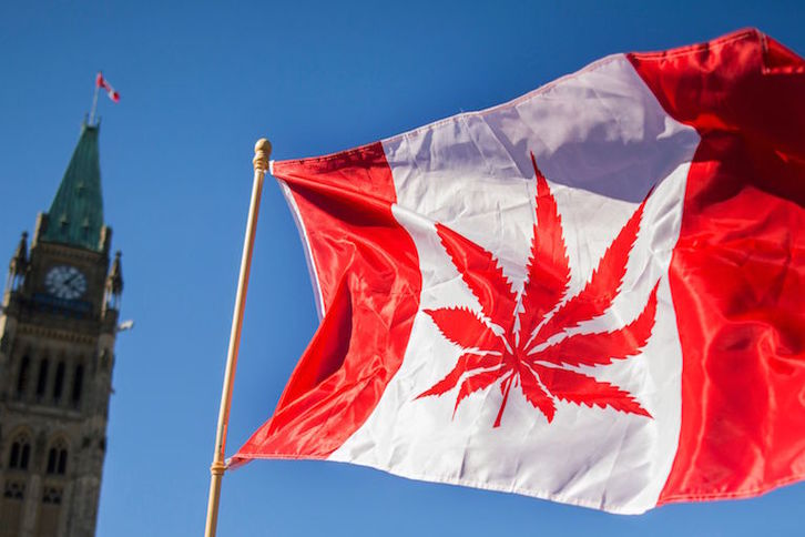 La bandera canadiense, «tuneada» con el logo de la marihuana. (Chris ROUSSAKIS/AFP)