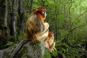 gara-2018-10-29-Reportaje