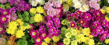 gara-2018-10-29-Noticia