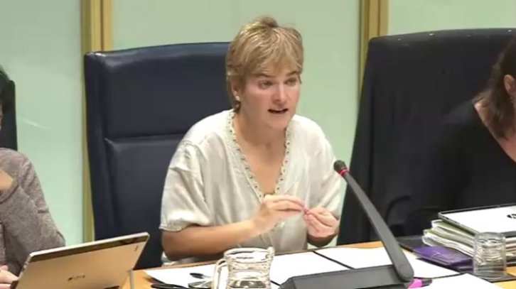 Uberaren iniziatibas izan da onartua adierazpena. (@ehbildu_legebil)