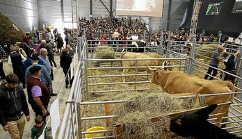 gara-2018-11-16-Crónica