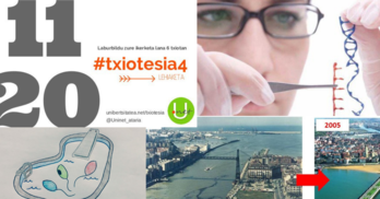 Lehiaketan erabilitako zenbait irudi.