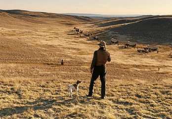 gara-2018-11-26-Opinión