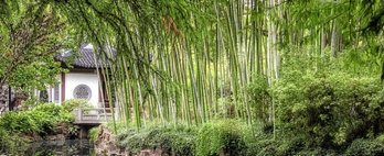 gara-2018-12-04-Noticia