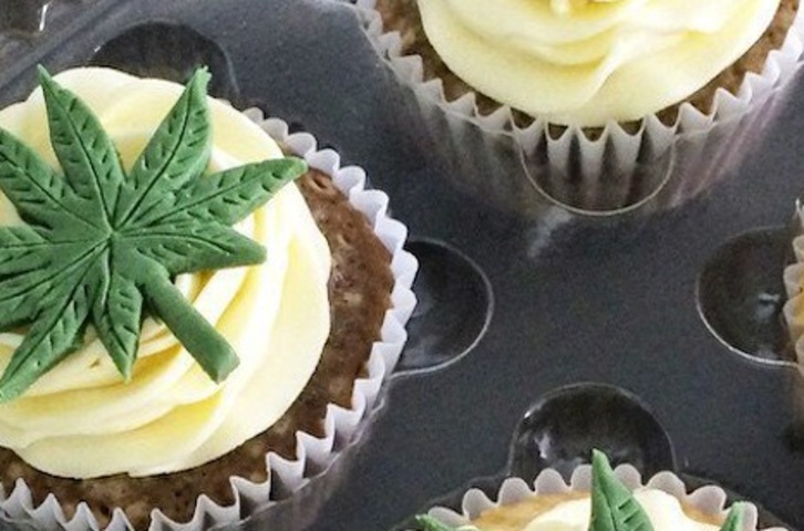 El joven había ingerido magdalenas a las que había añadido marihuana. (POLICÍA MUNICIPAL DE IRUÑEA)