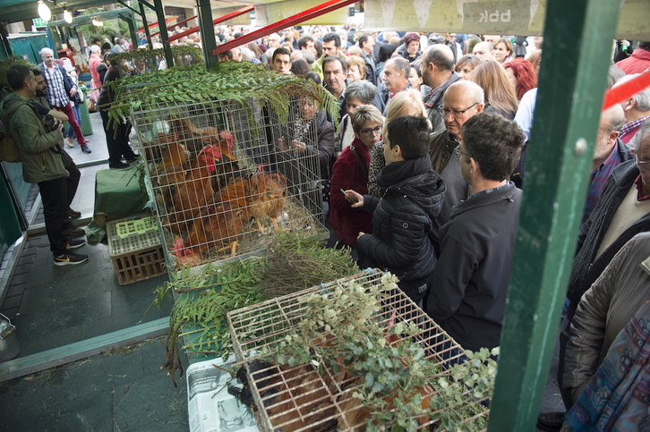 Al igual que el año pasado, miles de personas han inundado el Arenal. (Monika DEL VALLE / FOKU)