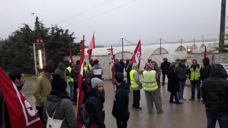Los trabajadores de Huerta de Peralta, ante las instalaciones de la empresa. (@LABnafarroa)