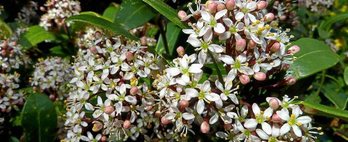 gara-2018-12-26-Noticia