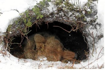 gara-2019-01-03-Reportaje