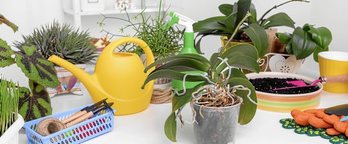 gara-2019-01-07-Noticia