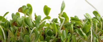 gara-2019-01-14-Noticia