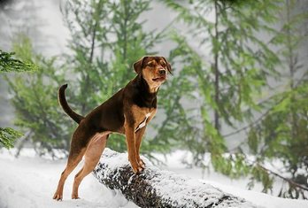 gara-2019-01-17-Noticia