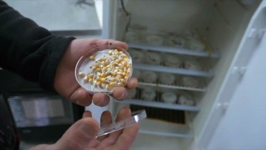 20190124_aleka_miguel__ga